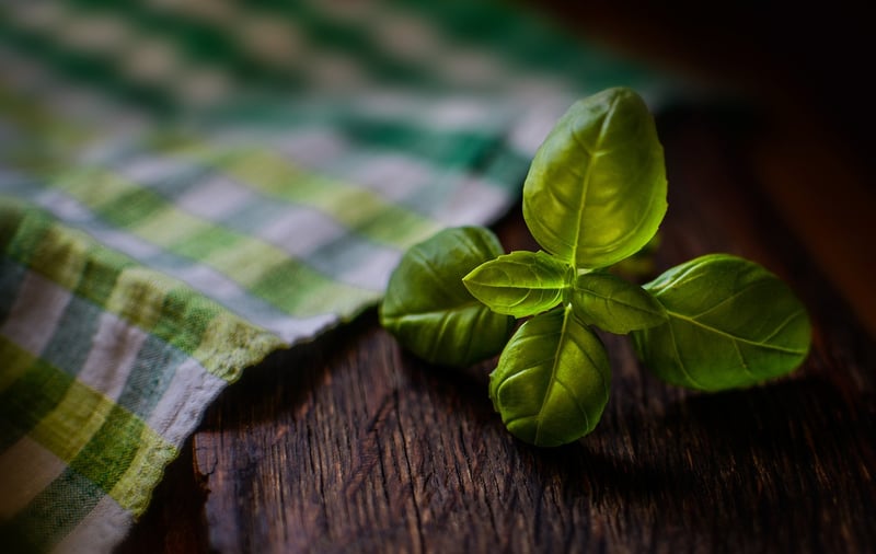 Fantasy herbs
