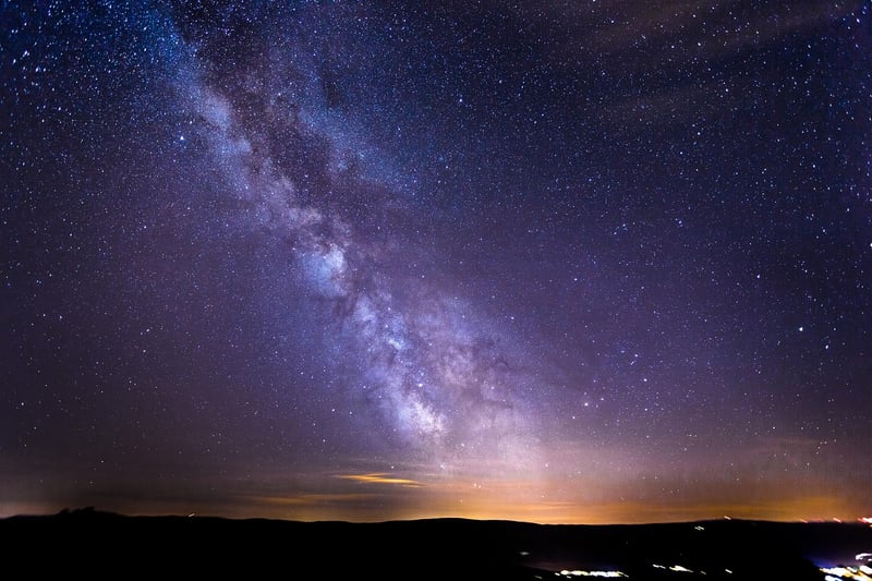 Cosmic Starlit Garden